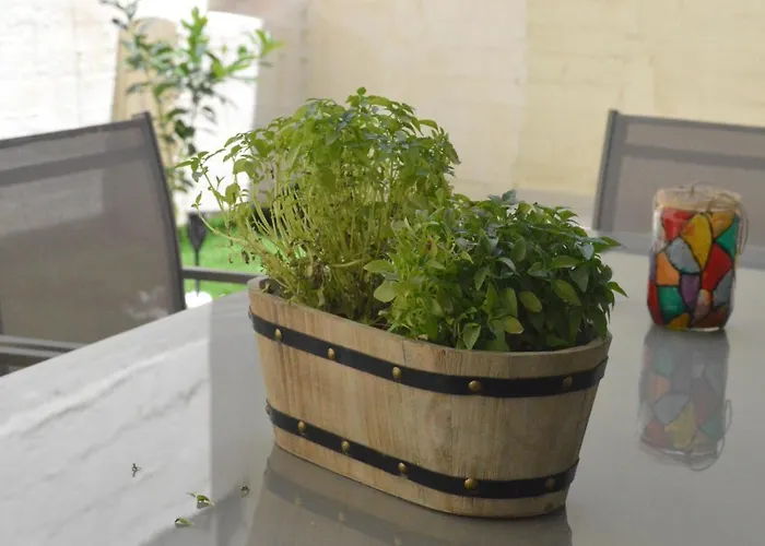 Leonidas House アパート *