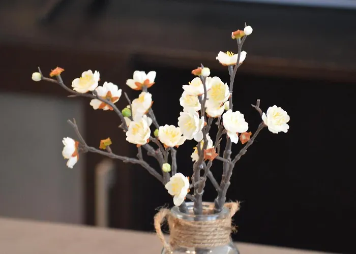 Leonidas House アパート