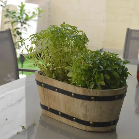 Leonidas House Appartement *